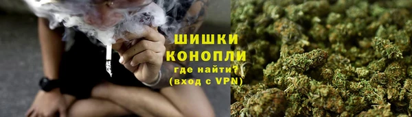 шишки Алексин