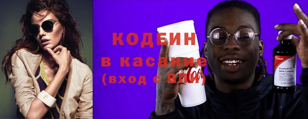 шишки Алексин
