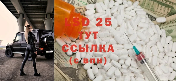 шишки Алексин